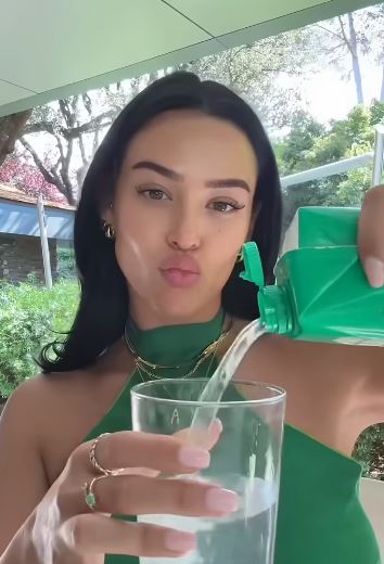 ashlyn castro plastic surgery
